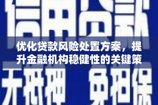 红星优化贷款风险处置方案，提升金融机构稳健性的关键策略