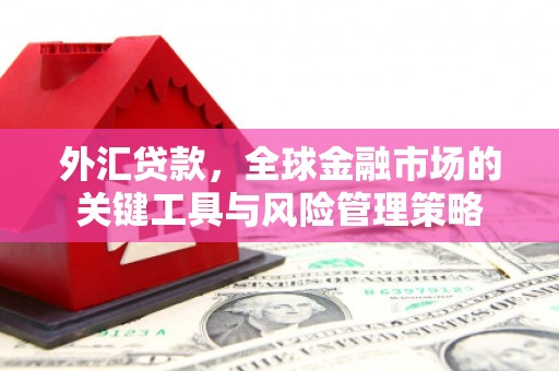 松溪外汇贷款，全球金融市场的关键工具与风险管理策略