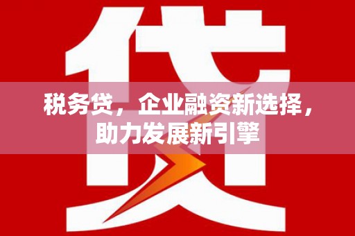 康县税务贷，企业融资新选择，助力发展新引擎