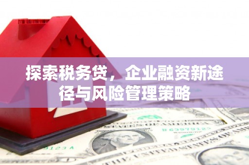 广汉探索税务贷，企业融资新途径与风险管理策略