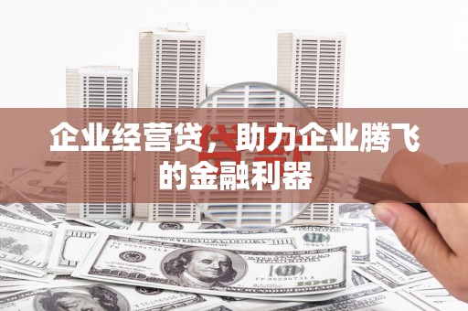 邕宁企业经营贷，助力企业腾飞的金融利器