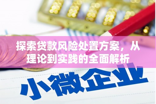 康县探索贷款风险处置方案，从理论到实践的全面解析
