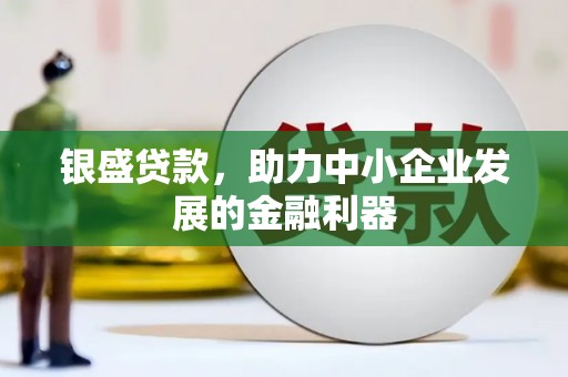 三台银盛贷款，助力中小企业发展的金融利器