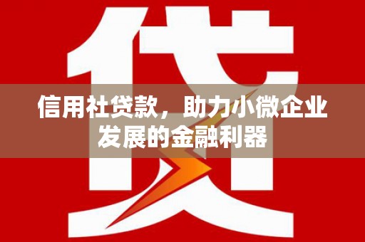 连云港信用社贷款，助力小微企业发展的金融利器