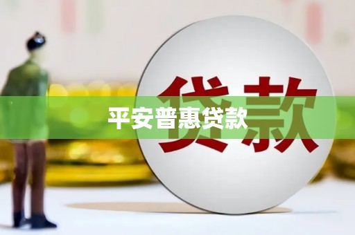 隆安平安普惠贷款