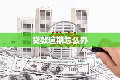 牧野贷款逾期怎么办