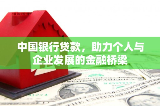 天涯中国银行贷款，助力个人与企业发展的金融桥梁