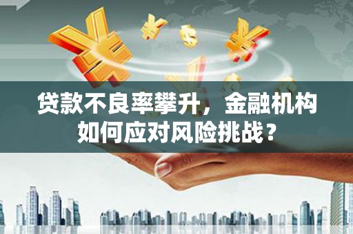 长岭贷款不良率攀升，金融机构如何应对风险挑战？