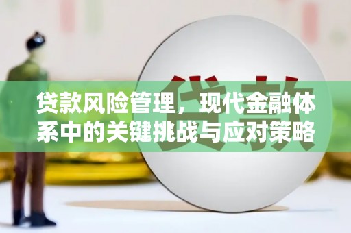 坦洲贷款风险管理，现代金融体系中的关键挑战与应对策略