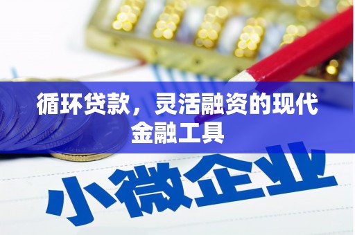 大名循环贷款，灵活融资的现代金融工具
