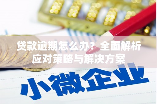 滦南贷款逾期怎么办？全面解析应对策略与解决方案