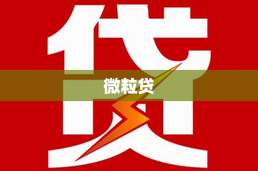 道里微粒贷
