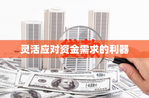 岱岳灵活应对资金需求的利器