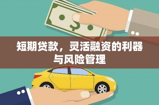 岳麓短期贷款，灵活融资的利器与风险管理