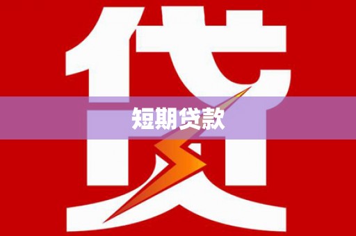 新抚短期贷款